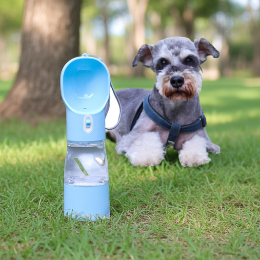 The Paws & Rest Roam Travel Bottle