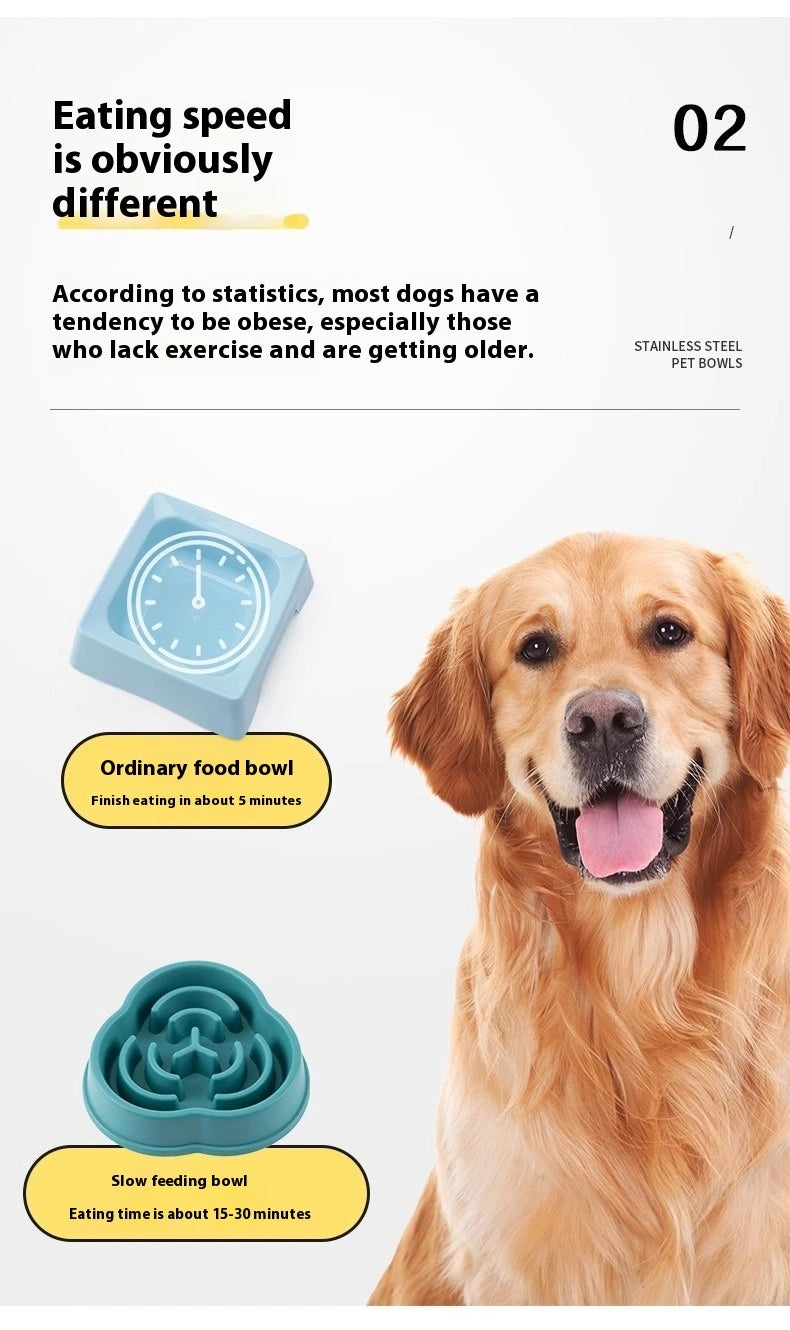 The Paws & Rest Mindful Meal Bowl