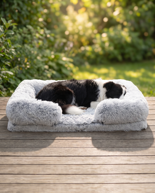Calming Dog Bed — Anxiety Relief & Deep Sleep Bed for Dogs