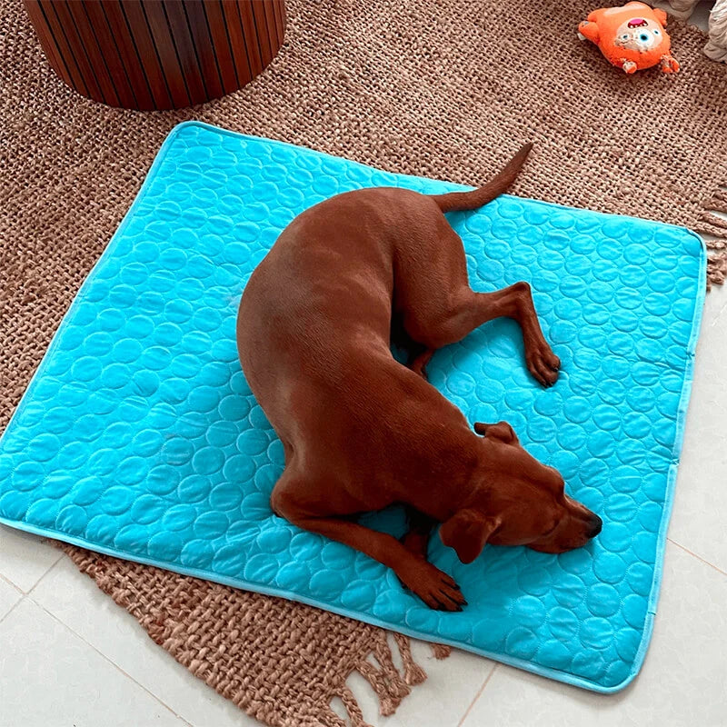 The Paws & Rest Cool Calm Mat