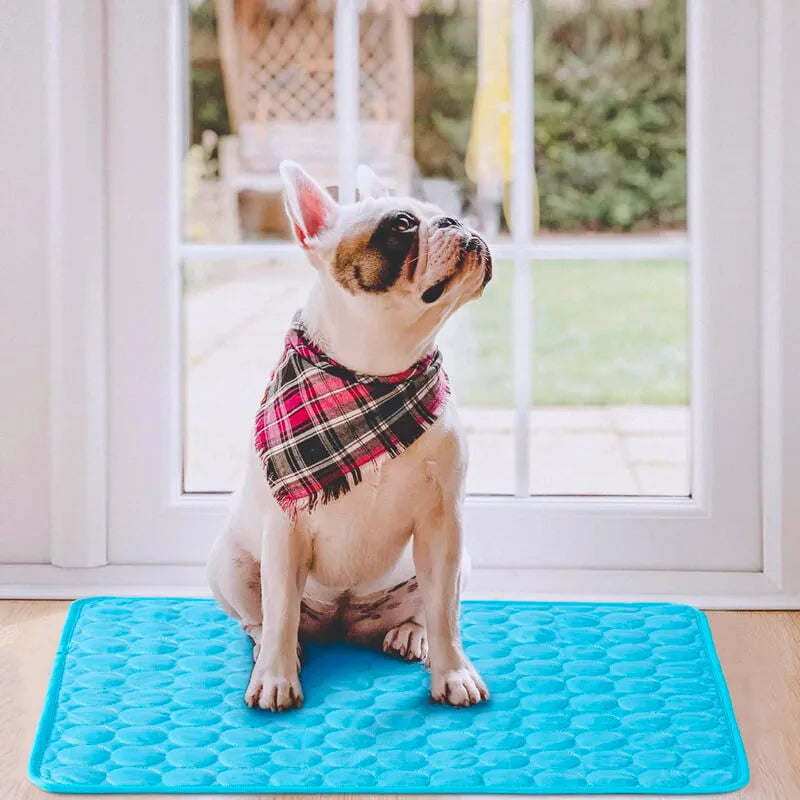 The Paws & Rest Cool Calm Mat
